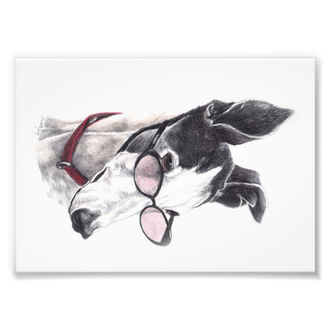 Greyhound mit Brille Foto Art Print (Vorne)