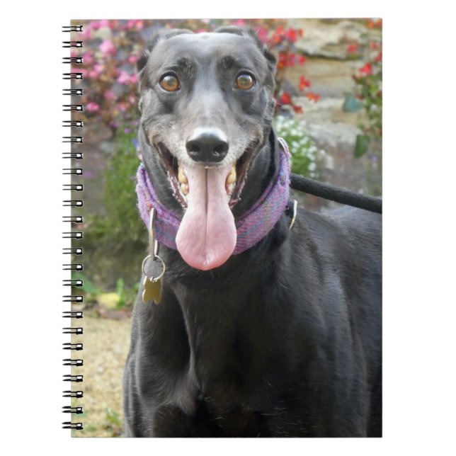 Greyhound-Notebook Notizblock (Vorderseite)
