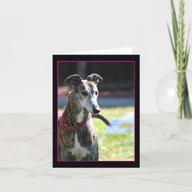 Greyhound notecard karte (Vorderseite)