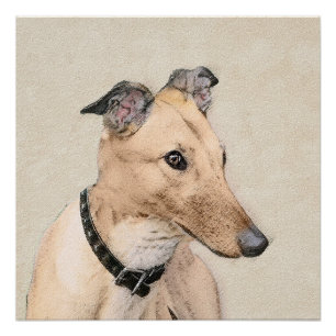 Greyhound Painting - Niedliche Original Hunde Kuns Poster
