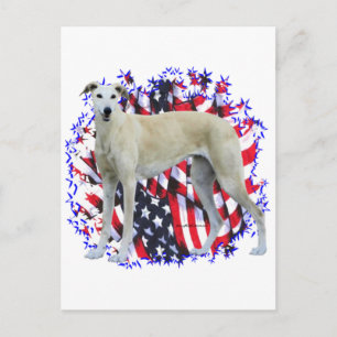 Greyhound Patriot Postkarte