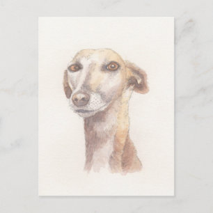 Greyhound-Portrait Postkarte