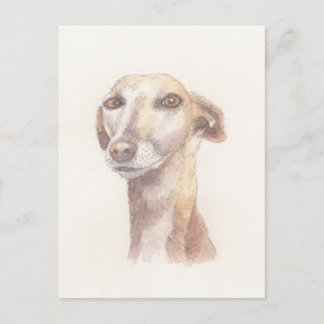 Greyhound-Portrait Postkarte