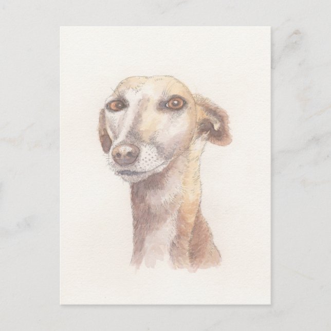 Greyhound-Portrait Postkarte (Vorderseite)