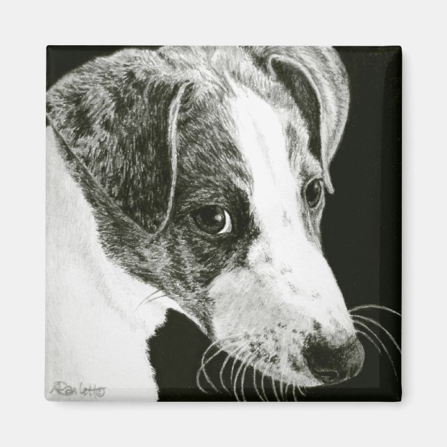 Greyhound Pup Magnet - "Paddy" (Vorne)