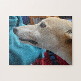 Greyhound-Puzzle