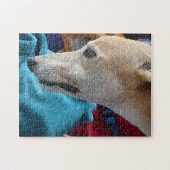 Greyhound-Puzzle (Horizontal)
