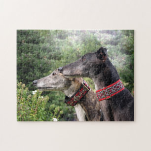 Greyhound-Puzzle (Alice und Shadow)