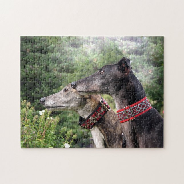 Greyhound-Puzzle (Alice und Shadow) (Horizontal)