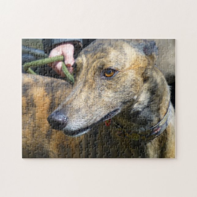 Greyhound-Puzzle (p289) (Horizontal)