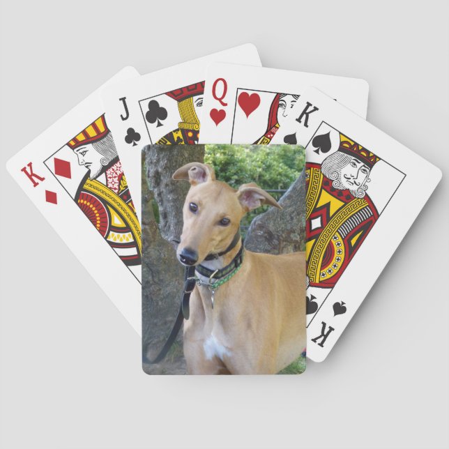 Greyhound-Spielkarten (5) Spielkarten (Rückseite)