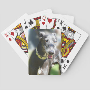 Greyhound-Spielkarten (p300) Spielkarten
