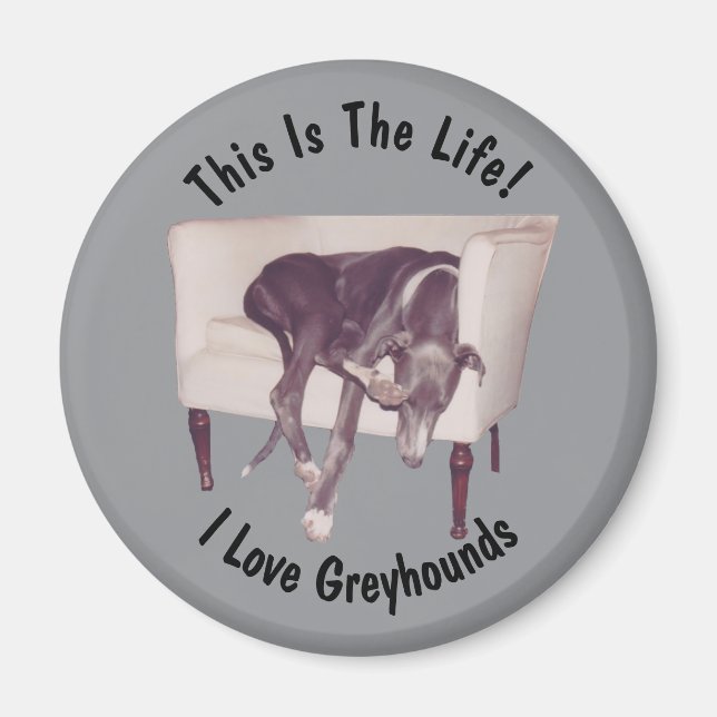 Greyhound This Is The Life  Magnet (Vorne)