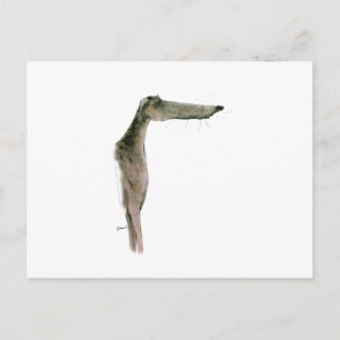Greyhound, tony fernandes postkarte