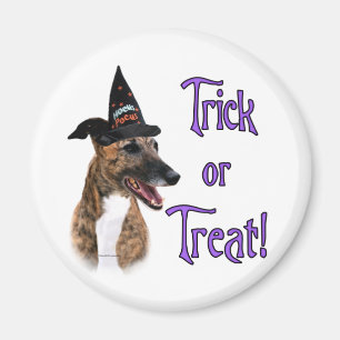 Greyhound-Trick Magnet