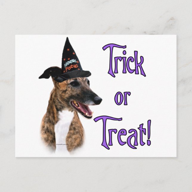 Greyhound-Trick Postkarte (Vorderseite)