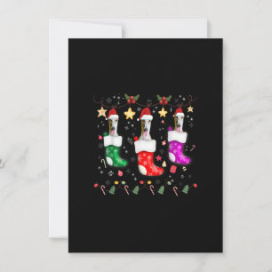 Greyhound Weihnachtsbeleuchtung Geschenk Funny Xma Einladung