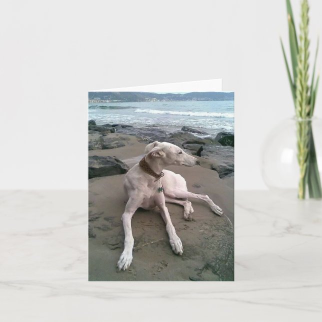 Greyhound Welpen-Blankenkarte Karte (Vorderseite)