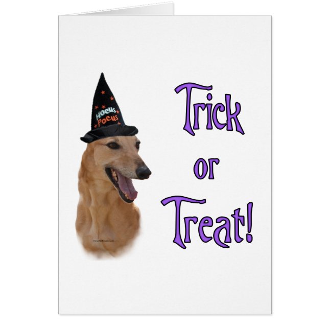 GreyhoundredTrick (Vorne)