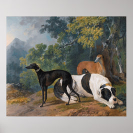 Greyhounds und Mastiff von Sawrey Gilpin Poster