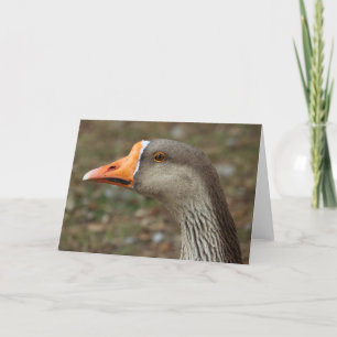 Greylag Swan Goose Cross Karte