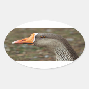Greylag Swan Goose Cross Ovaler Aufkleber