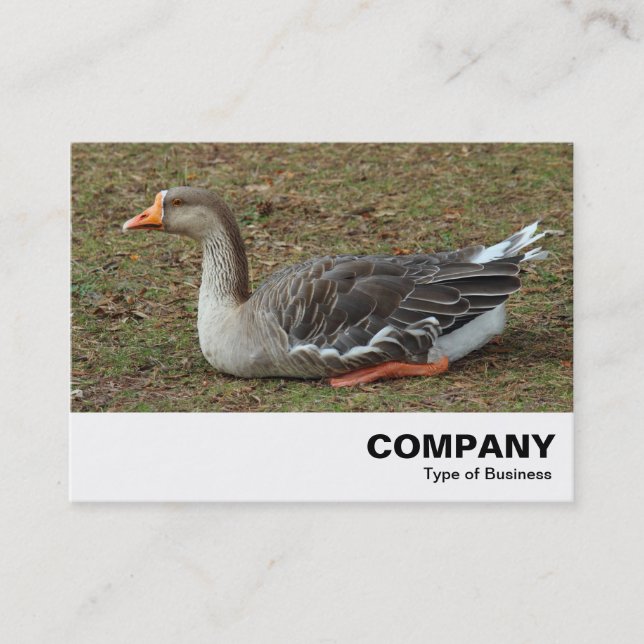 Greylag Swan Goose Cross Visitenkarte (Vorderseite)