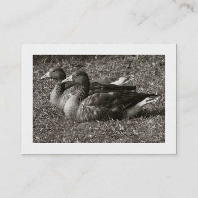 Grieche Gänse Sepia (grenzt an Visitenkarte (Vorderseite)