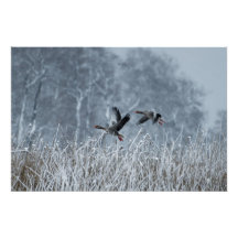 Griechen, die auf Schneeplakat fliegen