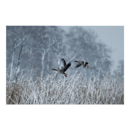 Griechen, die auf Schneeplakat fliegen Poster
