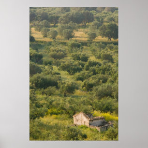 GRIECHENLAND, Ionische Inseln, KEFALONIEN, Havriat Poster