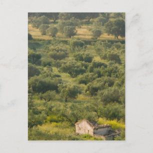 GRIECHENLAND, Ionische Inseln, KEFALONIEN, Havriat Postkarte