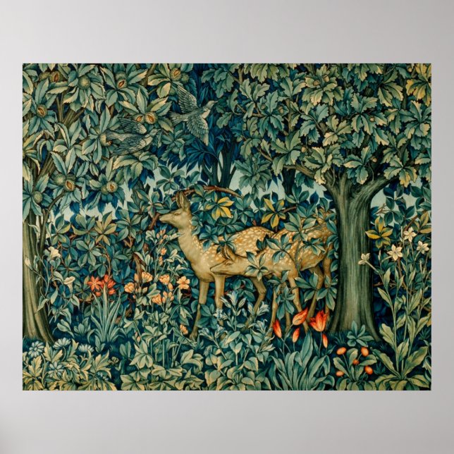 GRIECHENLAND, WALDTIERE, HUNDE, VÖGEL POSTER (Vorne)