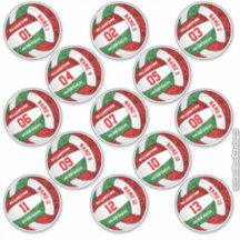 griechisch-grüner Volleyballspieler nennt Set 13