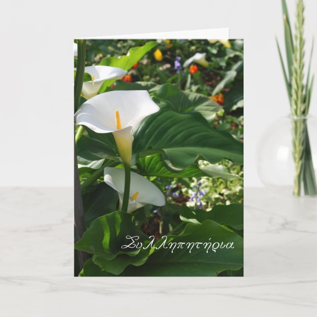 Griechische Beileidskarte mit weißen Calla-Lilien Karte (Vorderseite)