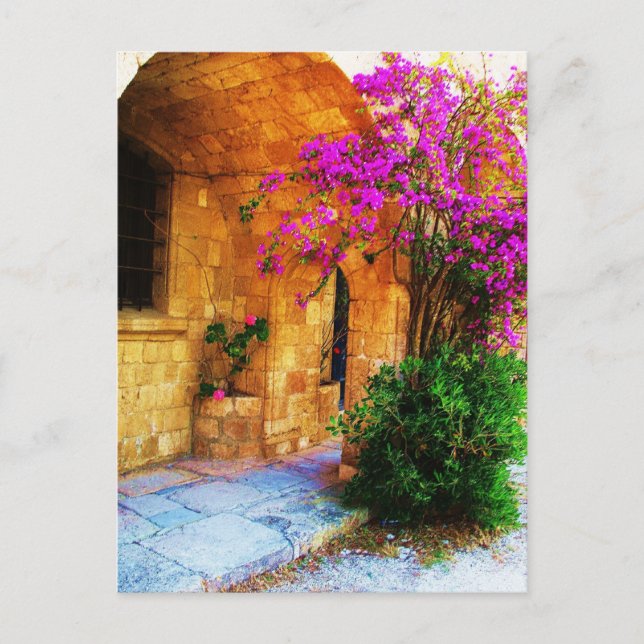 Griechisches Steinhaus - alte Holztür Bougainville Postkarte (Vorderseite)