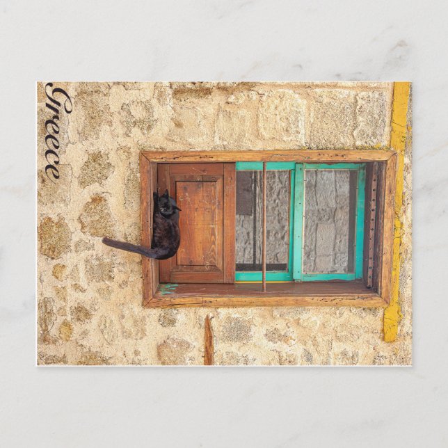 Griechkatze Postkarte (Vorderseite)