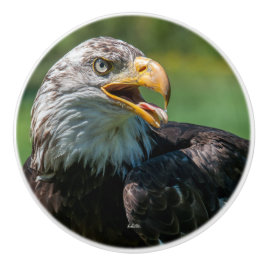 Griff von Photoadlertür