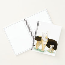 Griffin et livre pour bébé