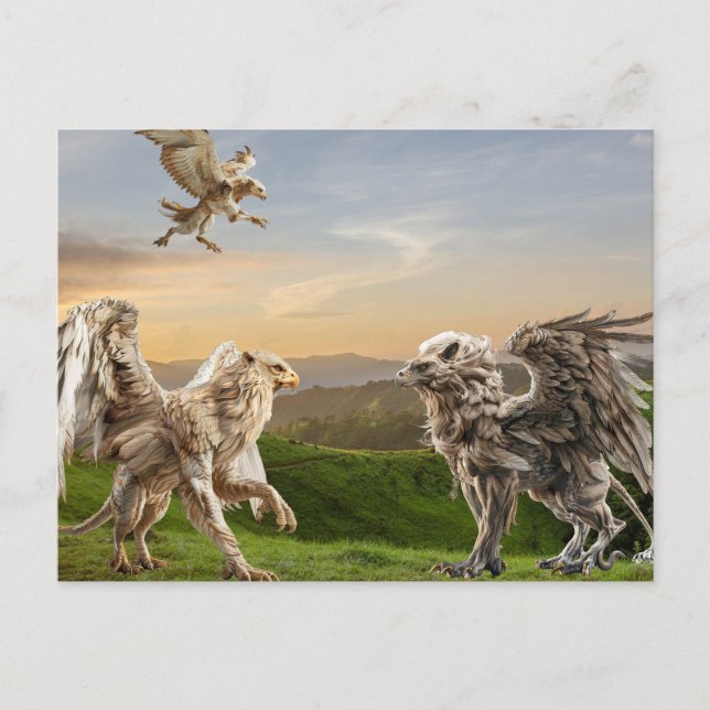 Griffin Griffin Mythology Postkarte (Vorderseite)