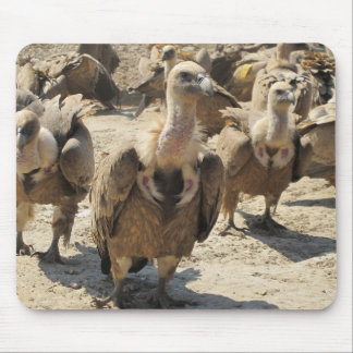 Griffon Geier Mousepad