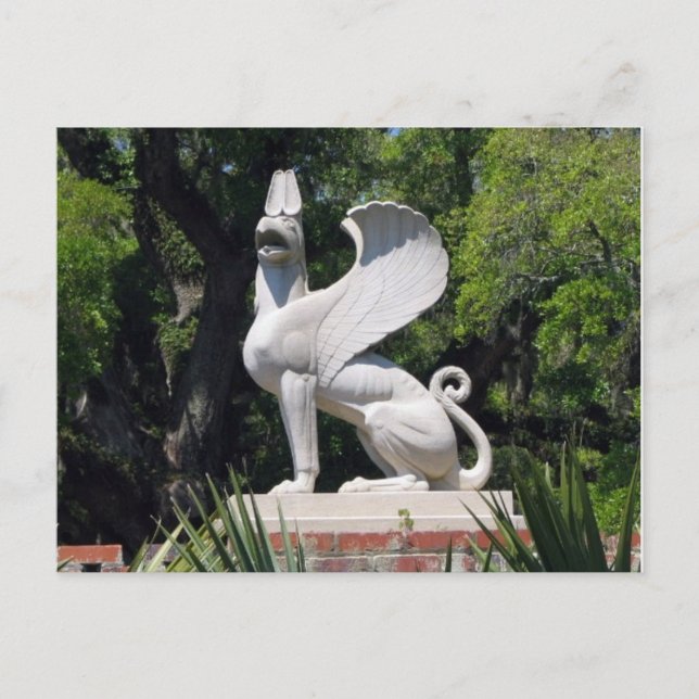 Griffon POSTCARD Postkarte (Vorderseite)