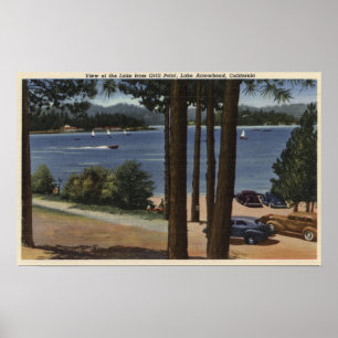 Grill Point View Lake Poster
