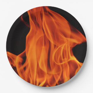 GRILLEN Feuer flammt WegwerfpapierTeller Pappteller