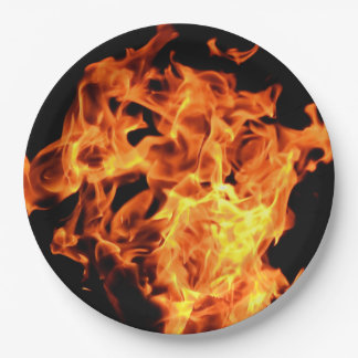 GRILLEN Feuer flammt WegwerfpapierTeller Pappteller