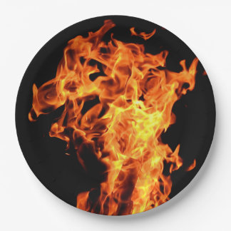 GRILLEN Feuer flammt WegwerfpapierTeller Pappteller