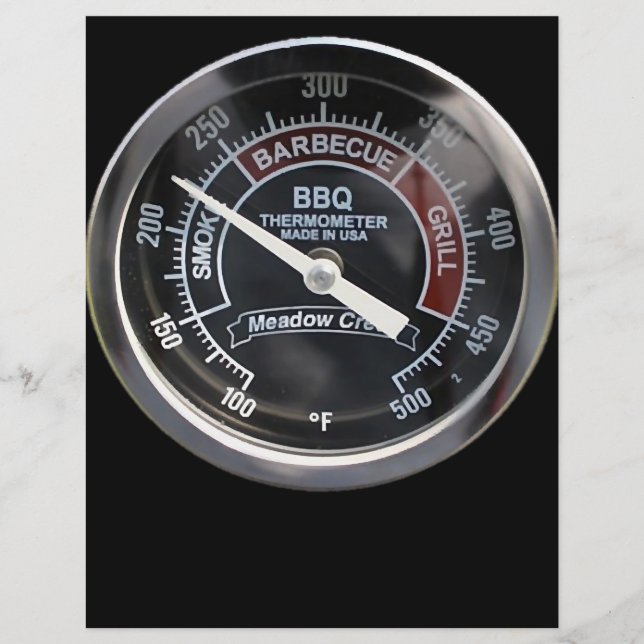 GRILLEN Smoker 225 Grad Temperaturmessung Perfekt Flyer (Vorne)