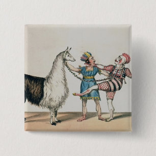 Grimaldi und das Alpaka, in der populären Button