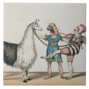 Grimaldi und das Alpaka, in der populären Fliese