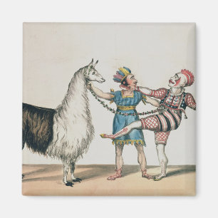 Grimaldi und das Alpaka, in der populären Magnet